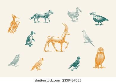 Extinct species. Wild mammal animals and birds. Dodo, Moa, Tasmanian wolf, Quagga. Aurochs. Blue antelope. Hand drawn vector engraved sketch. Graphic vintage style. 