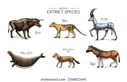 Extinct species. Wild mammal animals and birds. Tasmanian wolf, Quagga. Aurochs. Blue antelope. Steller's sea cow. Hand drawn vector engraved sketch. Graphic vintage style. 