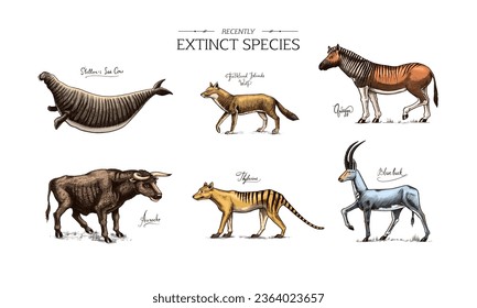 Extinct species. Wild mammal animals and birds. Tasmanian wolf, Quagga. Aurochs. Blue antelope. Steller's sea cow. Hand drawn vector engraved sketch. Graphic vintage style. 