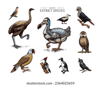 Extinct species. Wild mammal animals and birds.Dodo. Moa Passenger pigeon Great auk. Penguin. Mascarene parrot. Labrador duck. Laughing owl. Hand drawn vector engraved sketch. Graphic vintage style. 