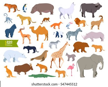 Extra grande conjunto animais zoológico realista estilo de design de desenho animado plano. Lama, touro, búfalo, pelicano, cabra, antílope, esquilo, urso polar, pantera, foca, lêmur, lince, iaque, hiena, flamingo, chita, morsa.