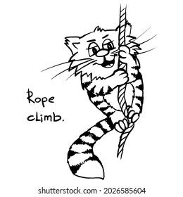 Extra happy climbing cat Smiley kitty in gym. Funny infantile outline sketch sporty cat for coloring book. Kitty print for shirt. Doodle fit animal cartoon workout tom