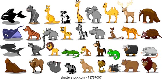 Extra large set of animals including lion, kangaroo, giraffe, elephant, camel, antelope, hippo, tiger, zebra, rhinoceros