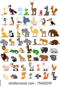 Extra large set of animals including lion, kangaroo, giraffe, elephant, camel, antelope, hippo, tiger, zebra, rhinoceros