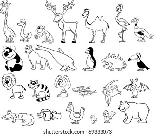 extra large set of animals, the vector coloring book