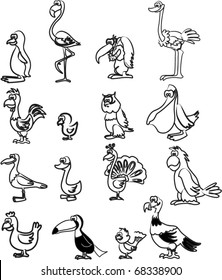 extra large set of birds including Pelican, chicken, rooster, chicken, flamingos, sparrow, ostrich, turkey, penguin, vulture, owl, gull, duck, parrot, goose, peacock toucan