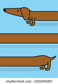 Extra long Dachshund vector illustration