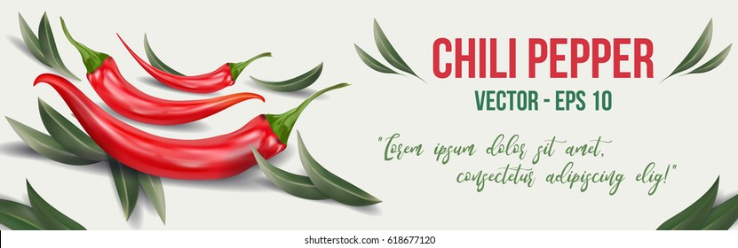 Extra spicy chili pepper with olive leaves. Template banner for restaurant, cafe, bar or fast food poster,  flyer or brochure. Mexican restaurant poster, food brochure or menu template.