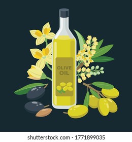 Botellas de aceite de oliva virgen extra y aceitunas, flores, frutas de oliva compuestas alrededor - ilustración de pancarta vectorial en diseño plano.