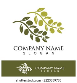 Extra virgin olive oil logo design vector illustration