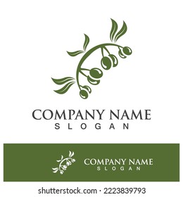 Extra virgin olive oil logo design vector illustration