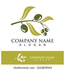 Extra virgin olive oil logo design vector illustration
