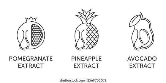 Extracts used in skincare anti-aging products - Pomegranate, Pineapple, Avocado extract. Icons set in thin line