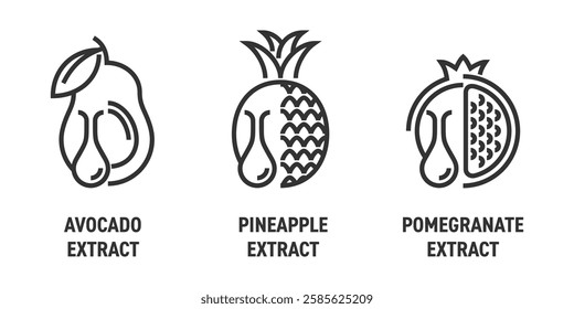 Extracts used in skincare anti-aging products - Pomegranate, Pineapple, Avocado extract. Icons set in bold line