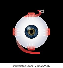 Extraocular muscles anatomy. Structure of the human eye infographic. control the movements of the eyeball and the superior eyelid. Iris, outermost, retina and sclera medical flat vector illustration