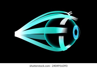 Extraocular muscles anatomy. Structure of the human eye infographic. control the movements of the eyeball and the superior eyelid. Iris, outermost, retina and sclera medical flat vector illustration