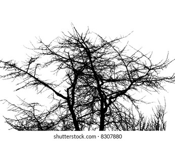 extreme detailed vector of tree silhouette