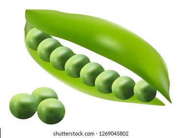 Extremely useful, bright peas perfectly suited for the logo or illustration of your site.
