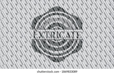 Extraer emblema de plata. Patrón de escalas. Ilustración vectorial. Detallado. 
