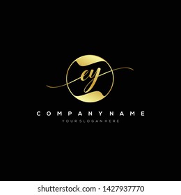 EY handwriting initial logo template vector.