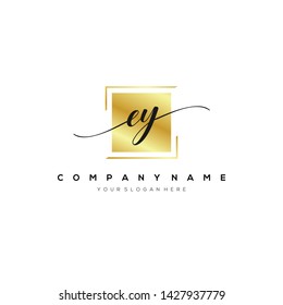 EY handwriting initial logo template vector.