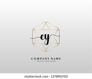 EY initial handwriting logo geometric template vector