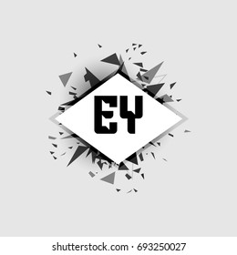 EY Logo