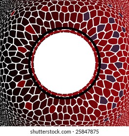 eye