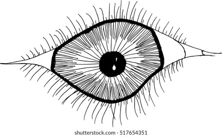 Drawing Sketch Style Illustration Human Eye Stock Vector (Royalty Free ...