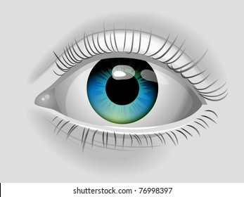 Eye