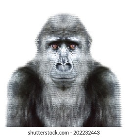 Eye to eye abstract mosaic portrait of a young gorilla male, isolated on white background. The little great ape. Wild beauty of the nature. Vector illustration.