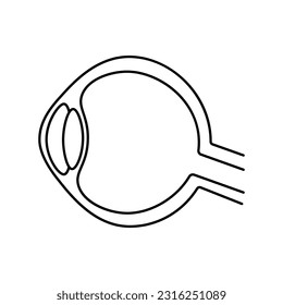 Eye, anatomy flat line icon. Human eye vector illustration. Outline pictograms for medical clinic