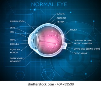 Anatomía ocular en un fondo de tecnología azul