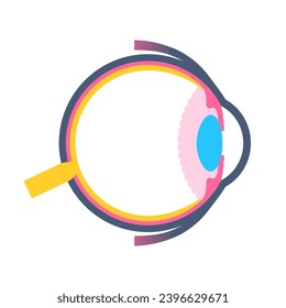 Eye anatomy poster. Structure of the human eye icon. Outermost, retina and sclera. Pigmented choroid, first lens and iris. Extraocular muscles and optic nerve isolated medical flat vector illustration