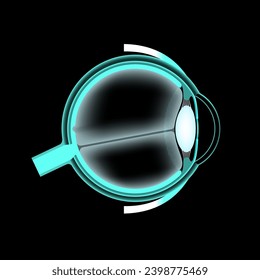 Eye anatomy poster. Structure of the human eye on black background. Outermost, retina and sclera. Pigmented choroid, first lens and iris. Extraocular muscles and optic nerve, 3d vector illustration