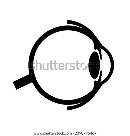 Eye anatomy poster. Structure of the human eye icon. Outermost, retina and sclera. Pigmented choroid, first lens and iris. Extraocular muscles and optic nerve isolated medical flat vector illustration