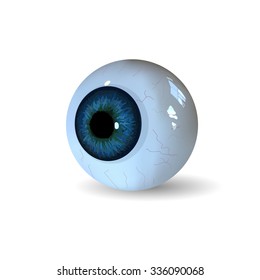 Eye Ball Isolated On White Background. Realistic