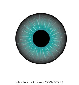 Eye Ball Vector For Business