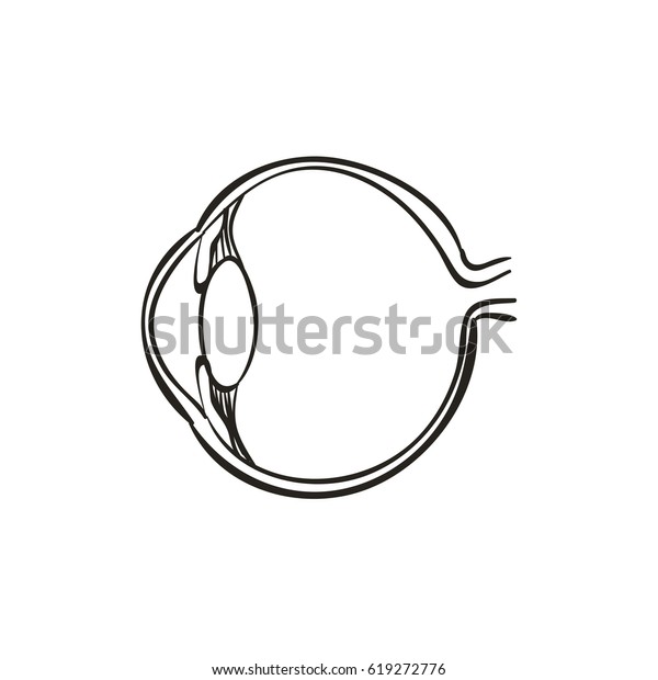 Eye Ball Vector Illustration Stock Vector (Royalty Free) 619272776