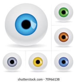 Eye balls. Vector illustration on white background