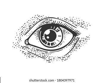 eye, beauty, woman, vision, young, see, look, face, sketch, vector, object, vintage, old, retro, engraving, etching, graphic, tattoo, black, white, black and white, white background, element, sign, sy