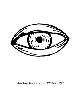 eye big with age vector sketch isolated
