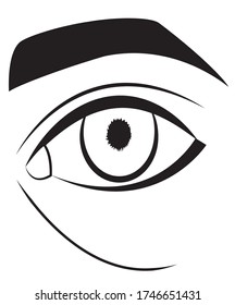 Schwarz-Weiß-Auge, Vektor