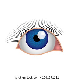 Eye, blue eye with eyelashes, a simple realistic drawing with shadows reflections and glare, white background, isolated object.