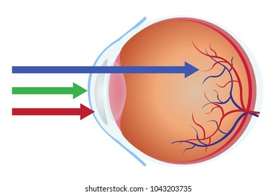 eye and blue light vector