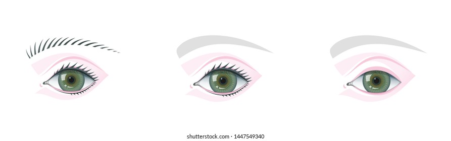 Eye and brow template for studying and teaching makeup technology. Eye model for permanent tattoo or visage study. Perfect eyelashes, eyebrows scheme. Cosmetology visage technology template for study