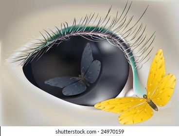 eye the butterfly and reflexion