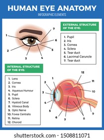 Eye care poster with human eye anatomy symbols flat vector illustration