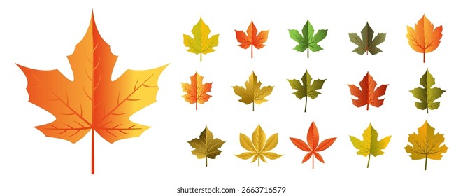 eye catching flat and dry autumn leaves design vector