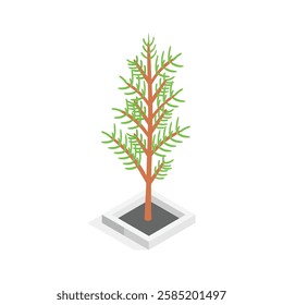 An eye catching isometric style icon of a small tree in a square planter